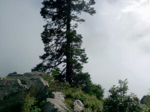 Complete Guide to Shrikhand Mahadev Trek